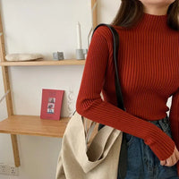 Women's slim turtleneck sweater